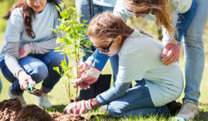 key club service project planting trees