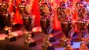 awards at the key club district convention